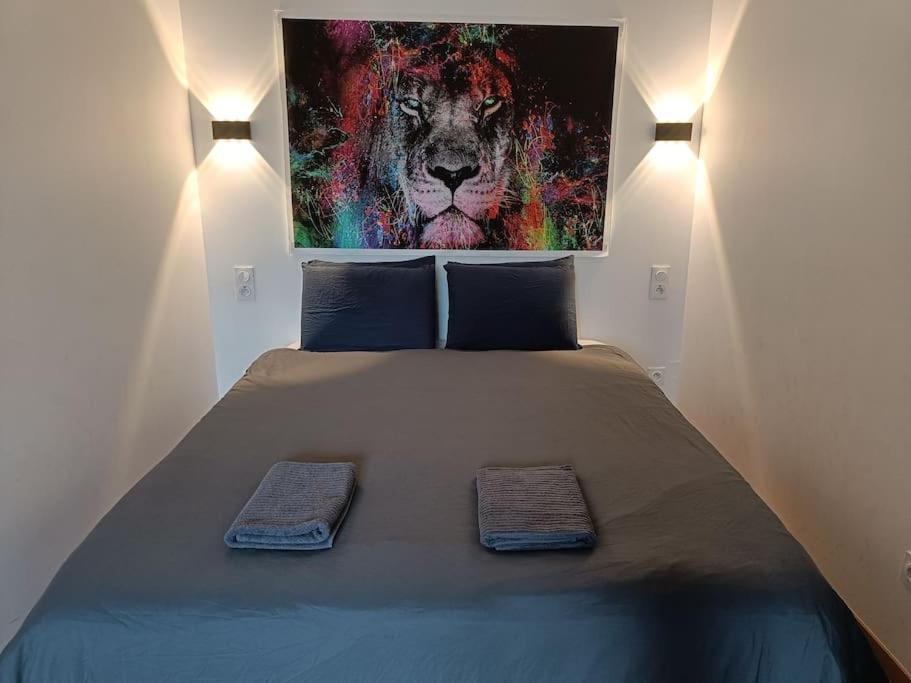 Appartement confort équipé au coeur de Béziers Esterno foto